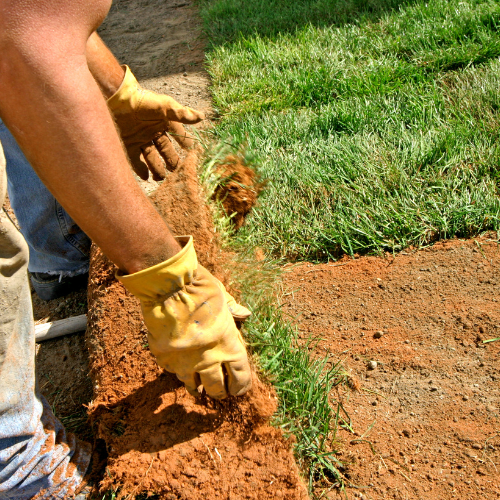 Landscaping Service in Annapolis MD